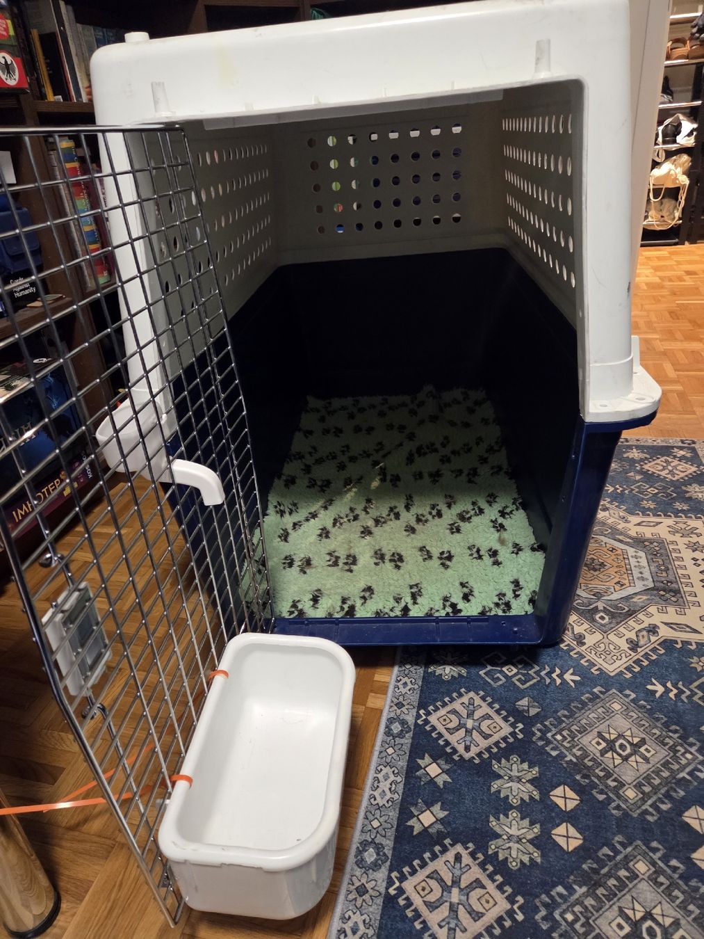Käfige, Transport & Sicherheit: Airline Pet Transport Box – Gebraucht aus Zürich von mel_ly8t 1