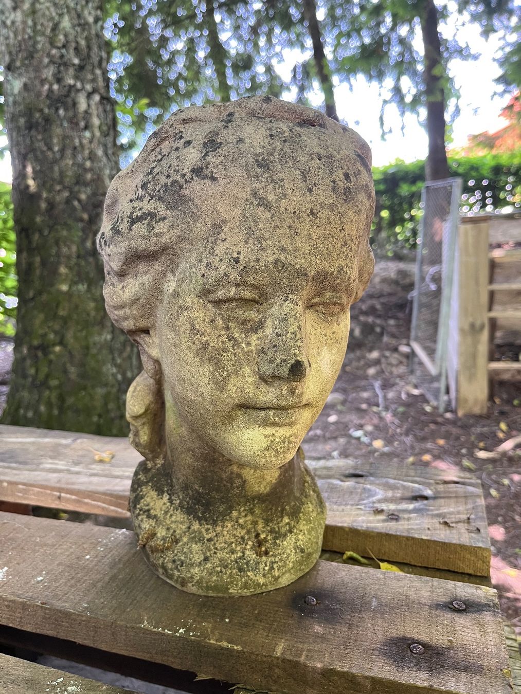 Statuette: Gartenstatue, Kopf, Skulptur – Usato da Oberentfelden venduto da Fabianbeboux 1