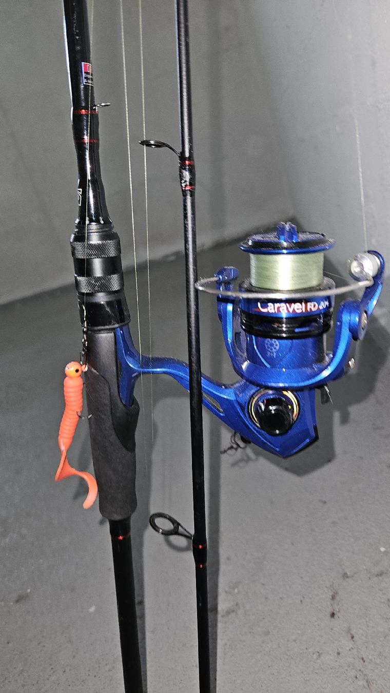 Canne da pesca: die Spinnrute – Usato da Frauenfeld venduto da exi_8dxy