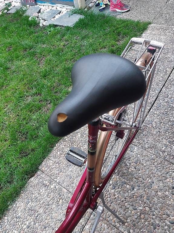 Biciclette: Damenvelo – Difettoso da Twann venduto da emmilein 3