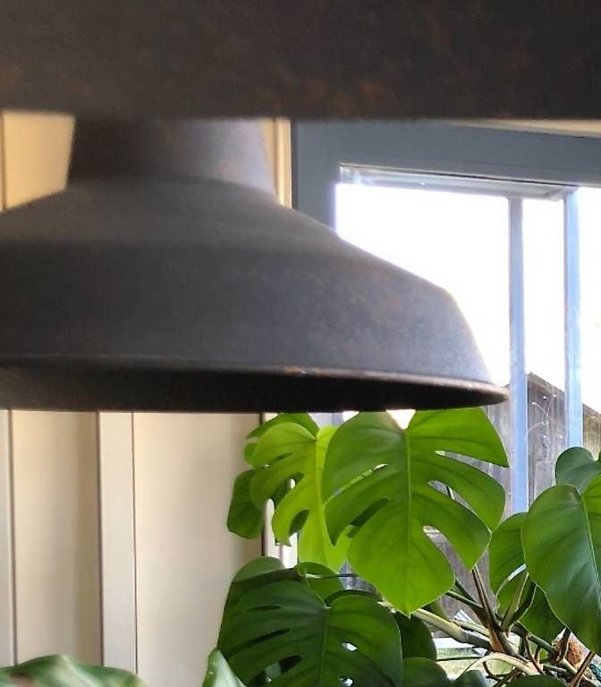 Lampadari & plafoniere: Pendelleuchte industrial – Nuovo (secondo la descrizione) da Zürich venduto da Benutzername-B 1