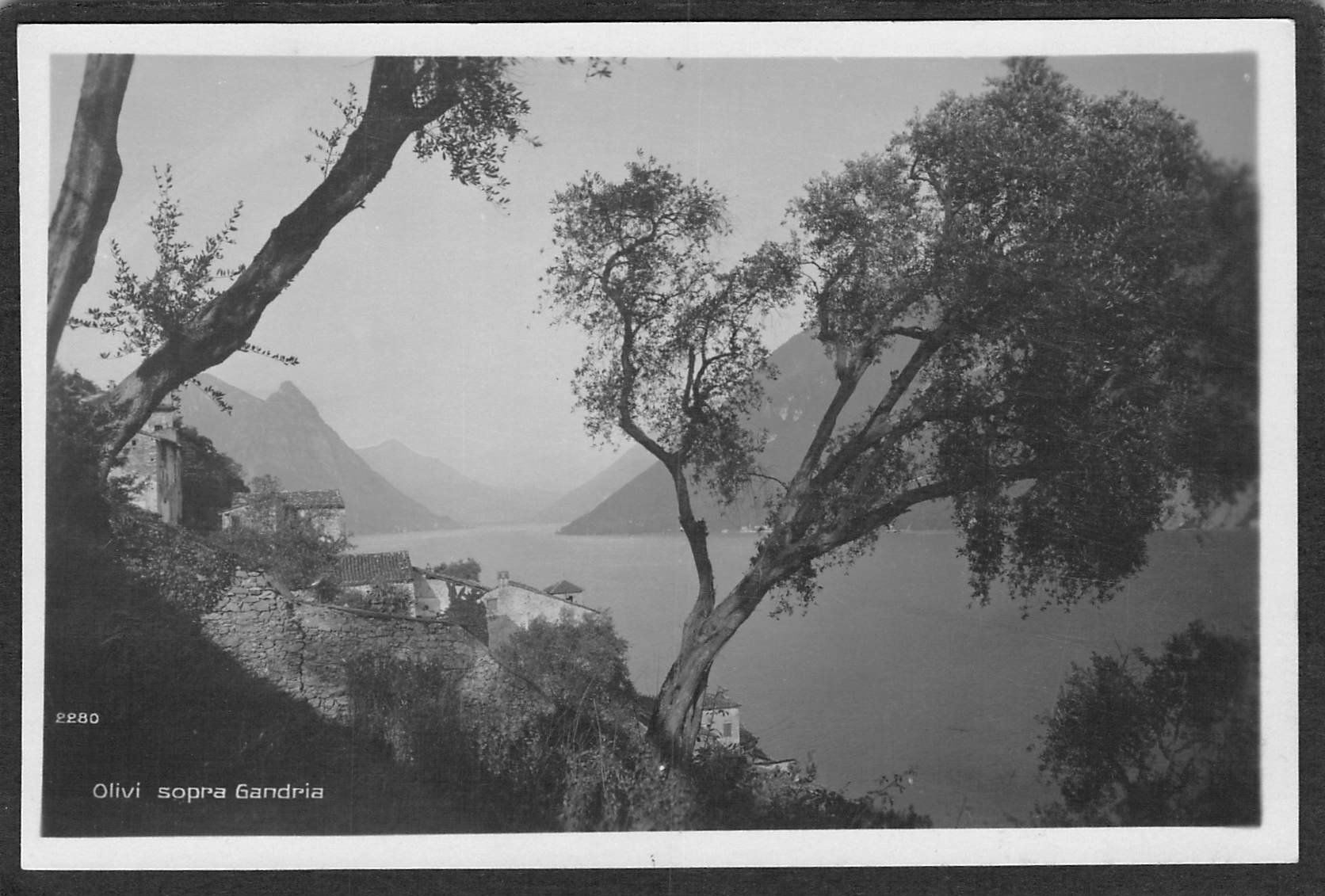 Cartoline postali: ,Olivi sopra Gandria,1925 – Usato da Reichenburg venduto da ibiza18