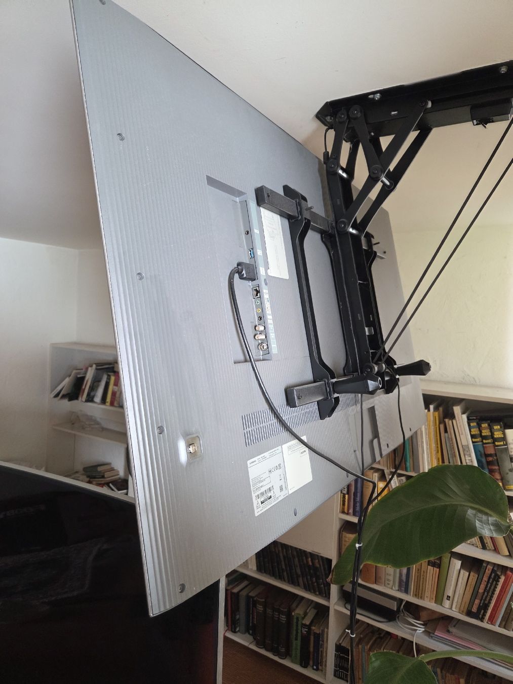 Samsung Televisori: samsung tv 55zoll – Usato da zumikon venduto da ien_s5p9 1