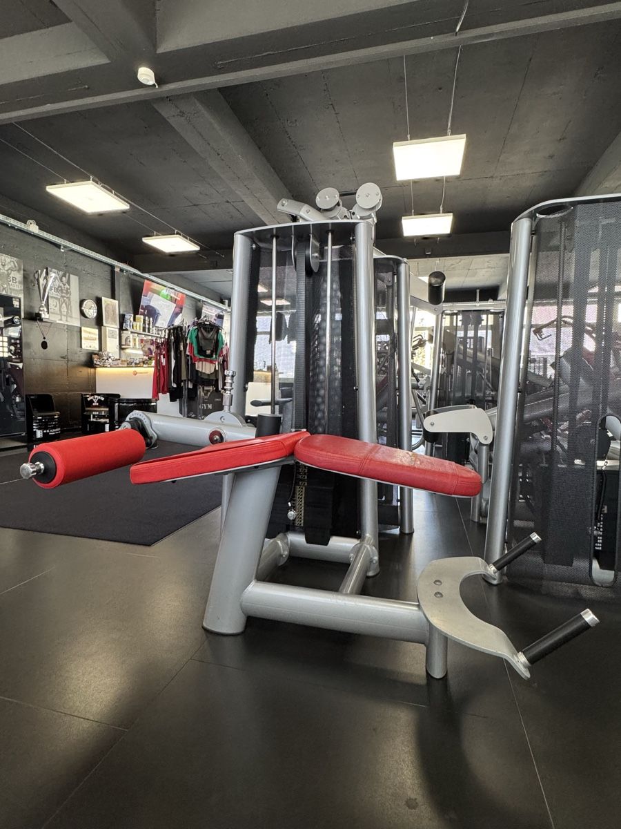 Gym80 Hometrainer: GYM80 Sygnum Line – Usato da Wil SG venduto da rog_g2jv