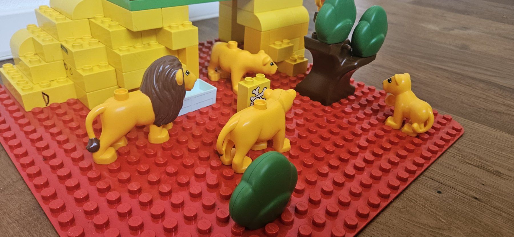 Lego Spielzeuge: Lego Duplo  Zoo Löwen – Gebraucht aus Benglen von diala 3