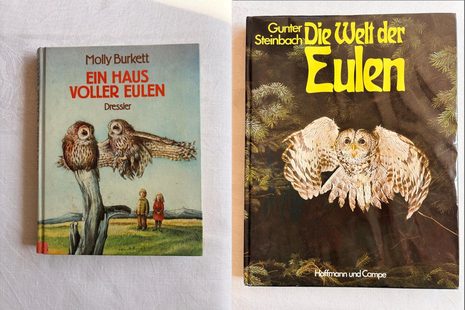 Tutte le decorazioni: Eulensammlung – Usato da Würenlos venduto da baslerdybli01 3