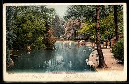 AK St. Gallen, Stadtpark, Teichpartie