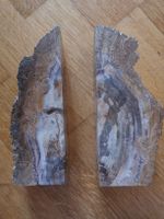 Schwere Bücherstützen, versteinertes Holz? 