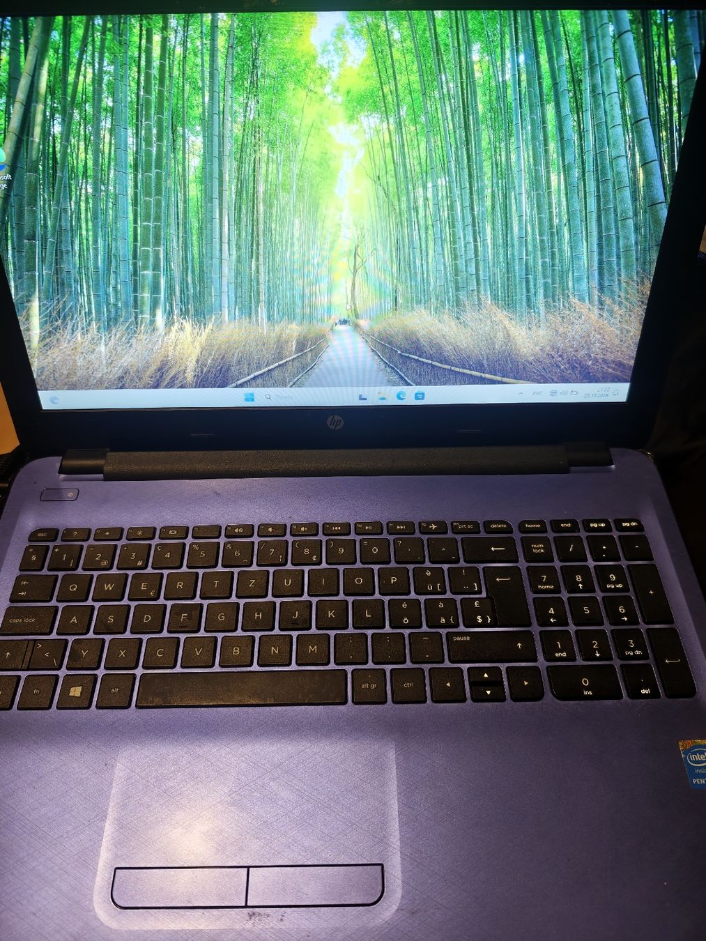 Hewlett Packard Notebook: 2 Laptops HP ab 1fr – Usato da Lungern venduto da Laut_musik 5