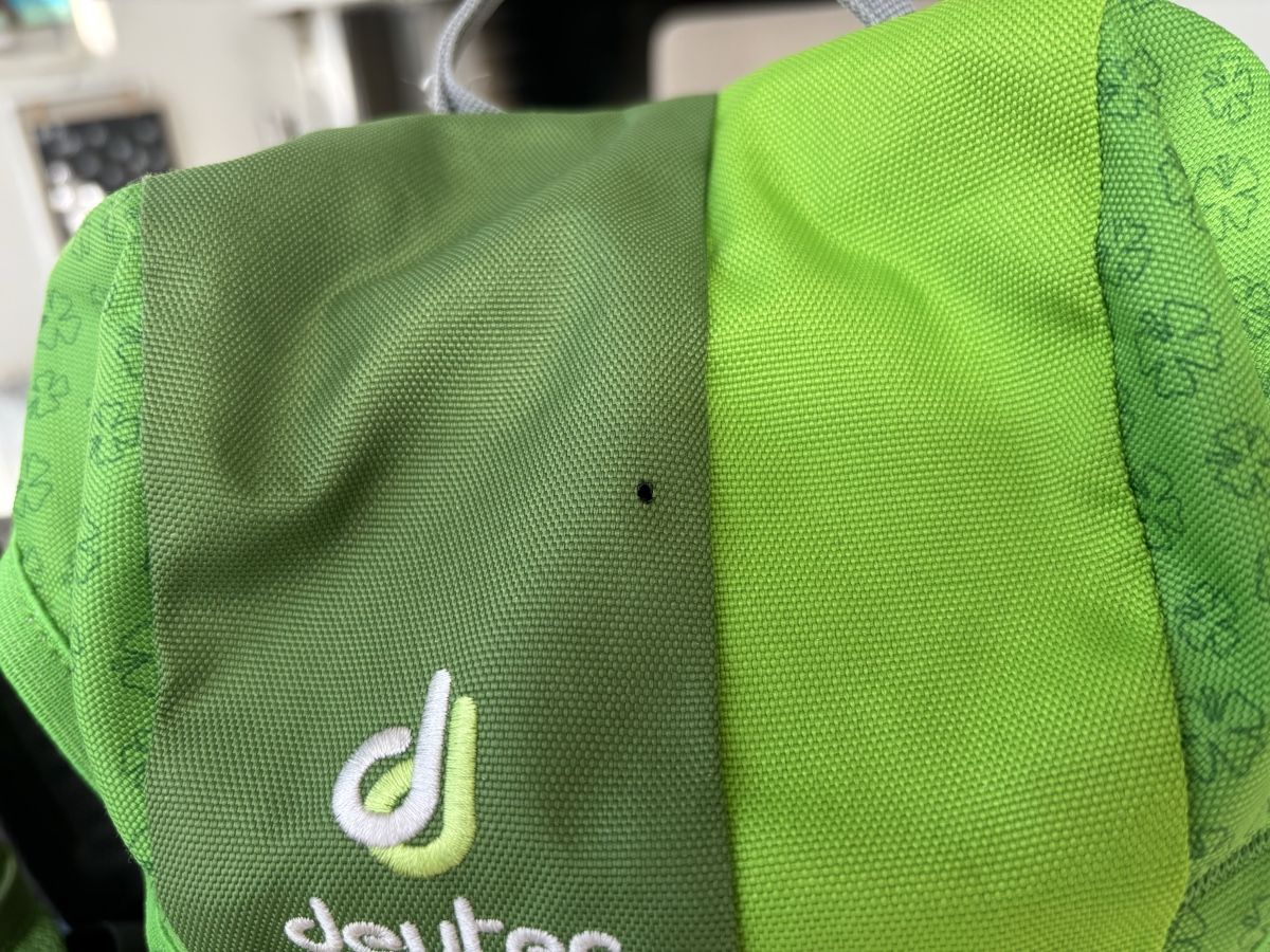 Deuter Borse & Zaini: 3 Deuter Kinderrucksack Schmusebär – Usato da Stettfurt venduto da Geltopam 3