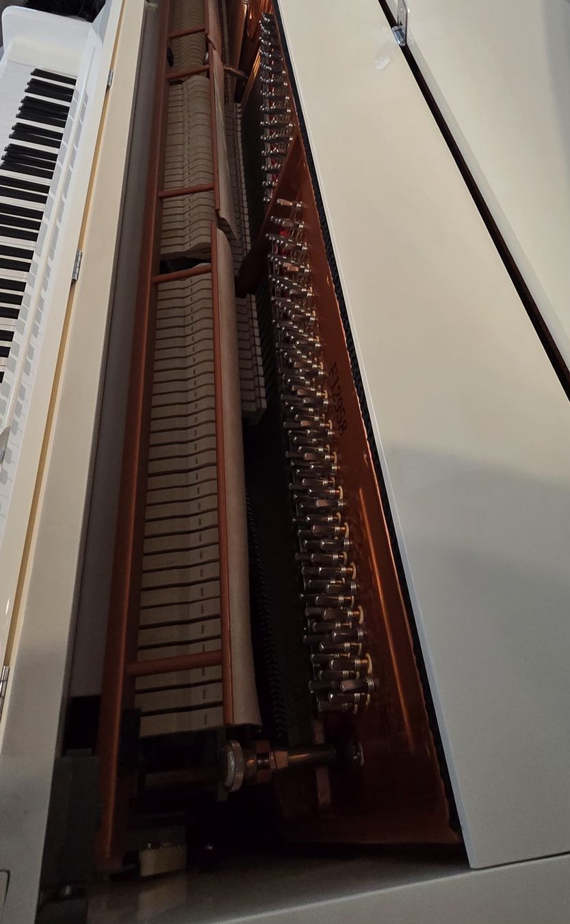 Feurich Strumenti musicali: Piano Feurich droit – Nuovo (secondo la descrizione) da Forel-Sur-Lucens venduto da guigui010 2