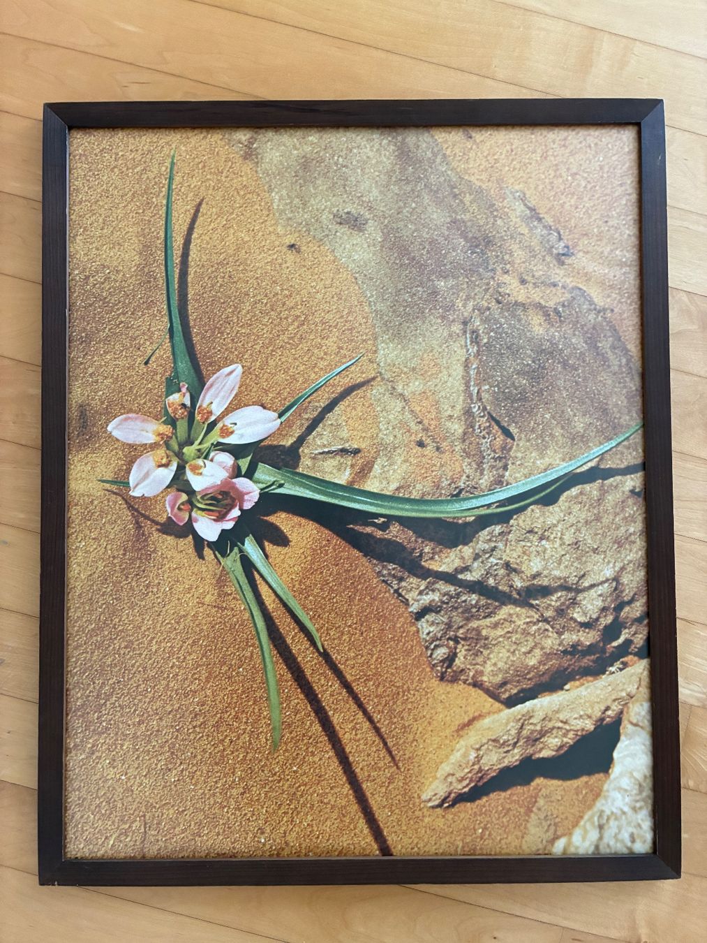 Cornici: Vintage Holzwechselrahmen 50x63cm – Usato da Baar venduto da Johan016