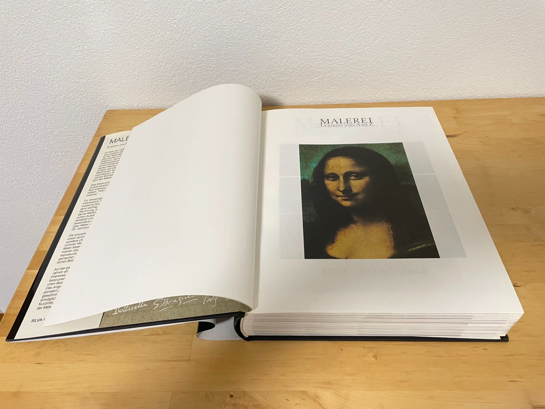 Libri: Malerei Lexikon von A-Z - Kunstgeschichte Buch – Usato da Zürich venduto da TTLM 2