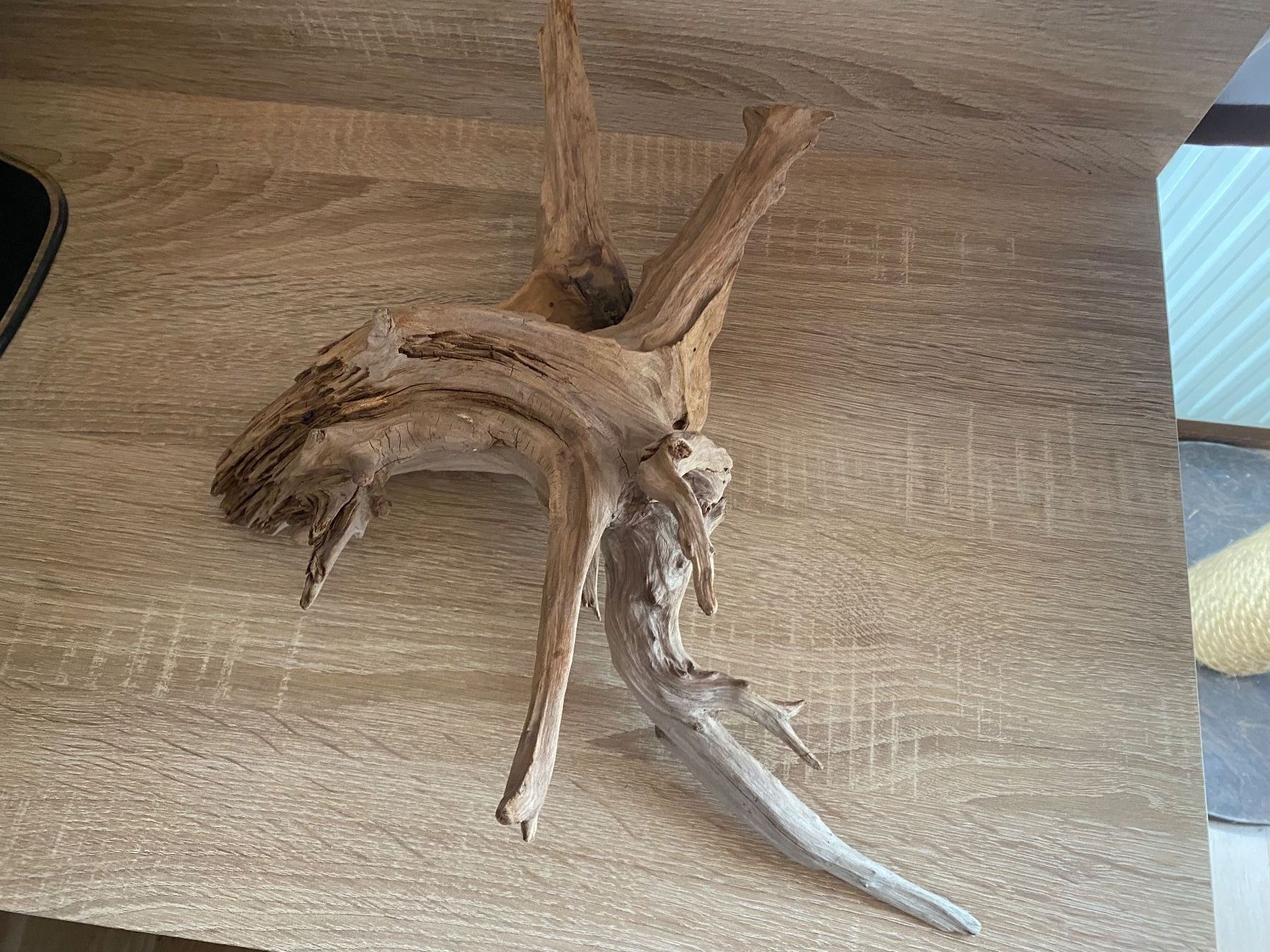 Statuette: Holzfigur – Usato da Bösingen venduto da Trigusik 7