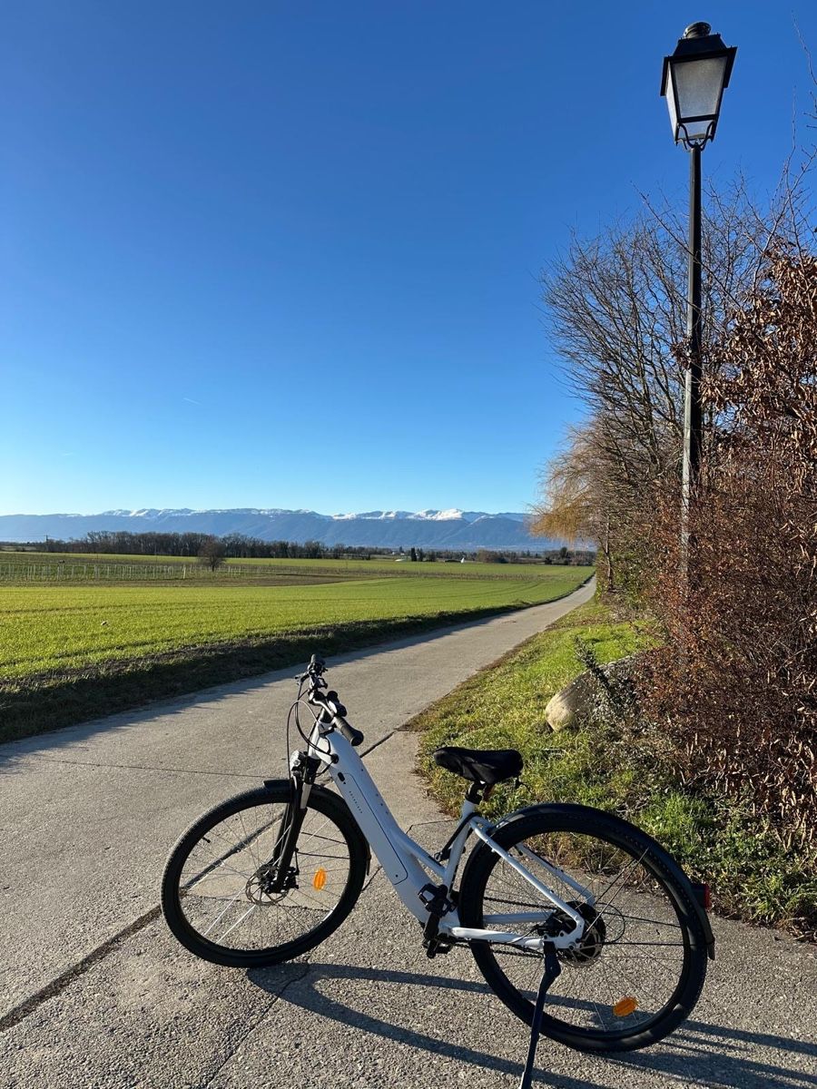 Biciclette: Vélo électrique comme neuf  – Nuovo (secondo la descrizione) da Chernex venduto da sif_6s8x 3