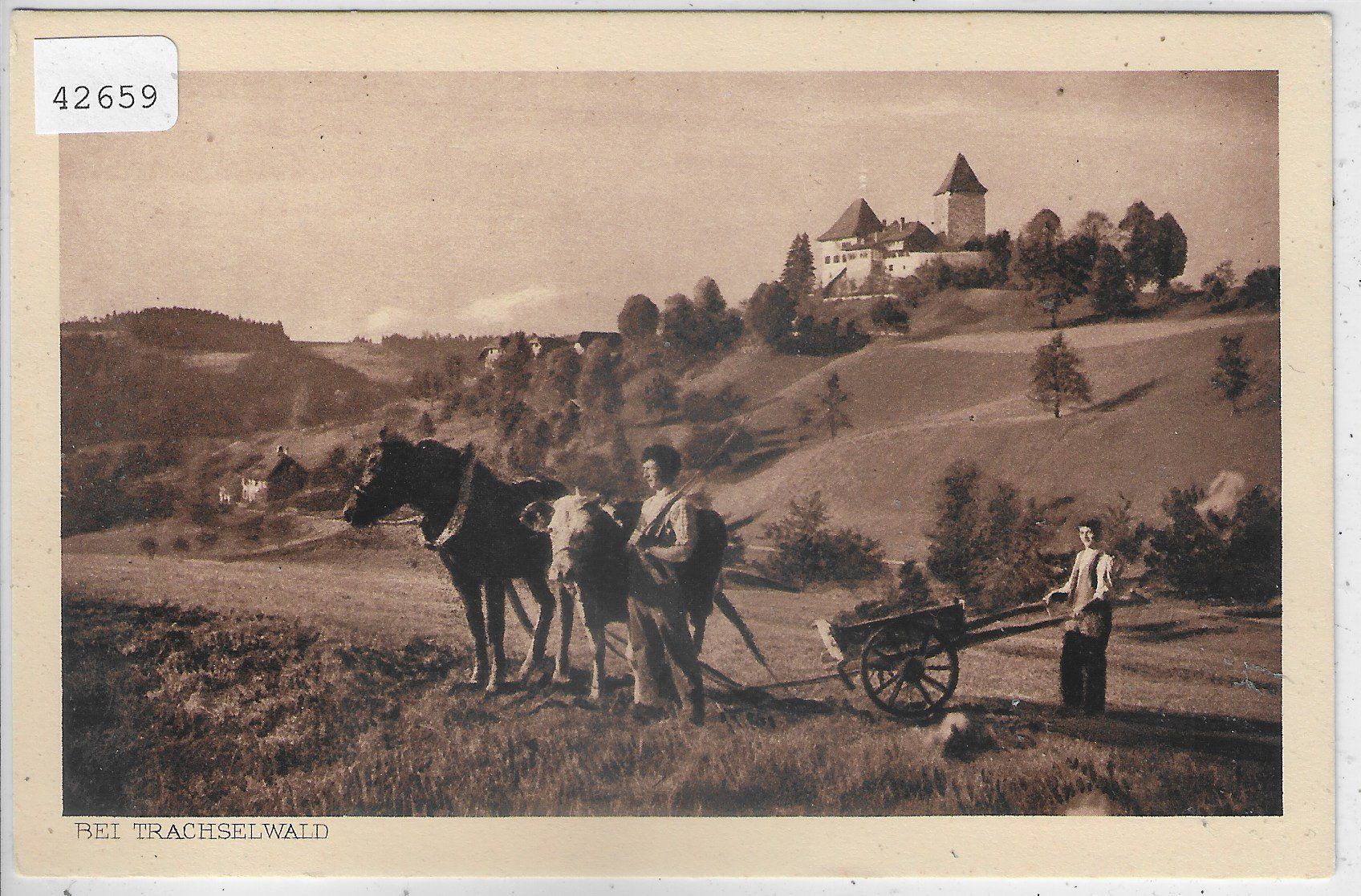 Cartoline postali: Bei Trachelwald - Bauer mit Kuh und Pferd – Usato da Ettingen venduto da Kartenplanet