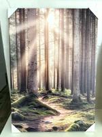 Wandbild Naturidylle Wald Holzrahmen + NEU 🔆