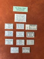 12 Postaufkleber (Märkli) / NEU + 2 Stück