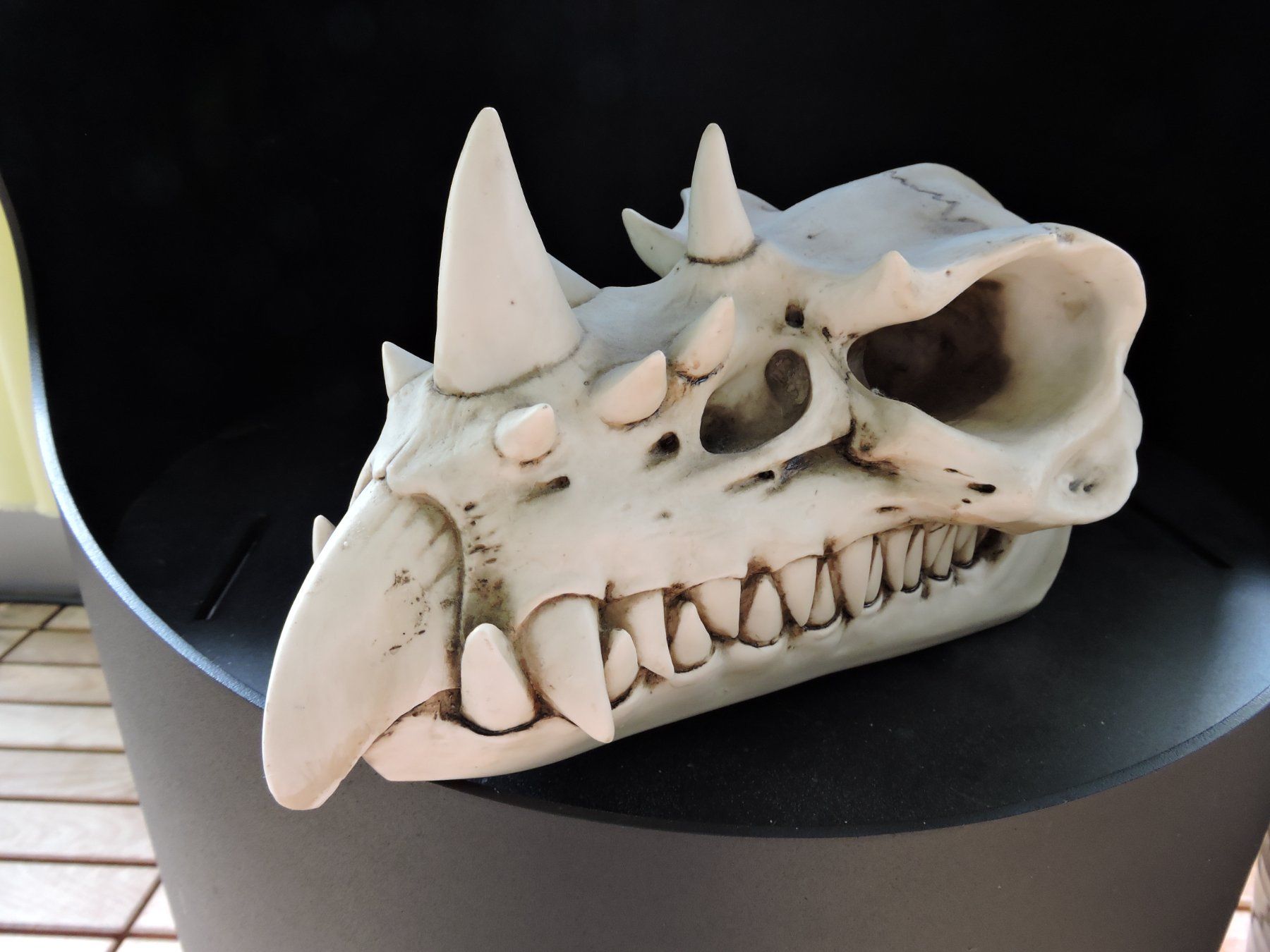T-Shirts: Dragon Skull Design Clinic – Gebraucht aus Neuenkirch von tomtom72111 1
