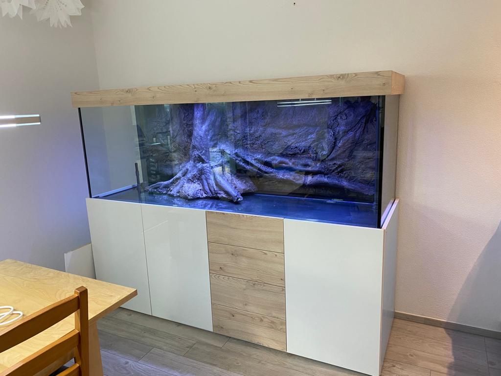 Acquari: Aquarium 200x60x60 komplett – Nuovo (secondo la descrizione) da Berikon venduto da fischundart 4