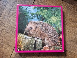 Puzzle vintage hérisson en bois, 30 pièces, Penelope!
