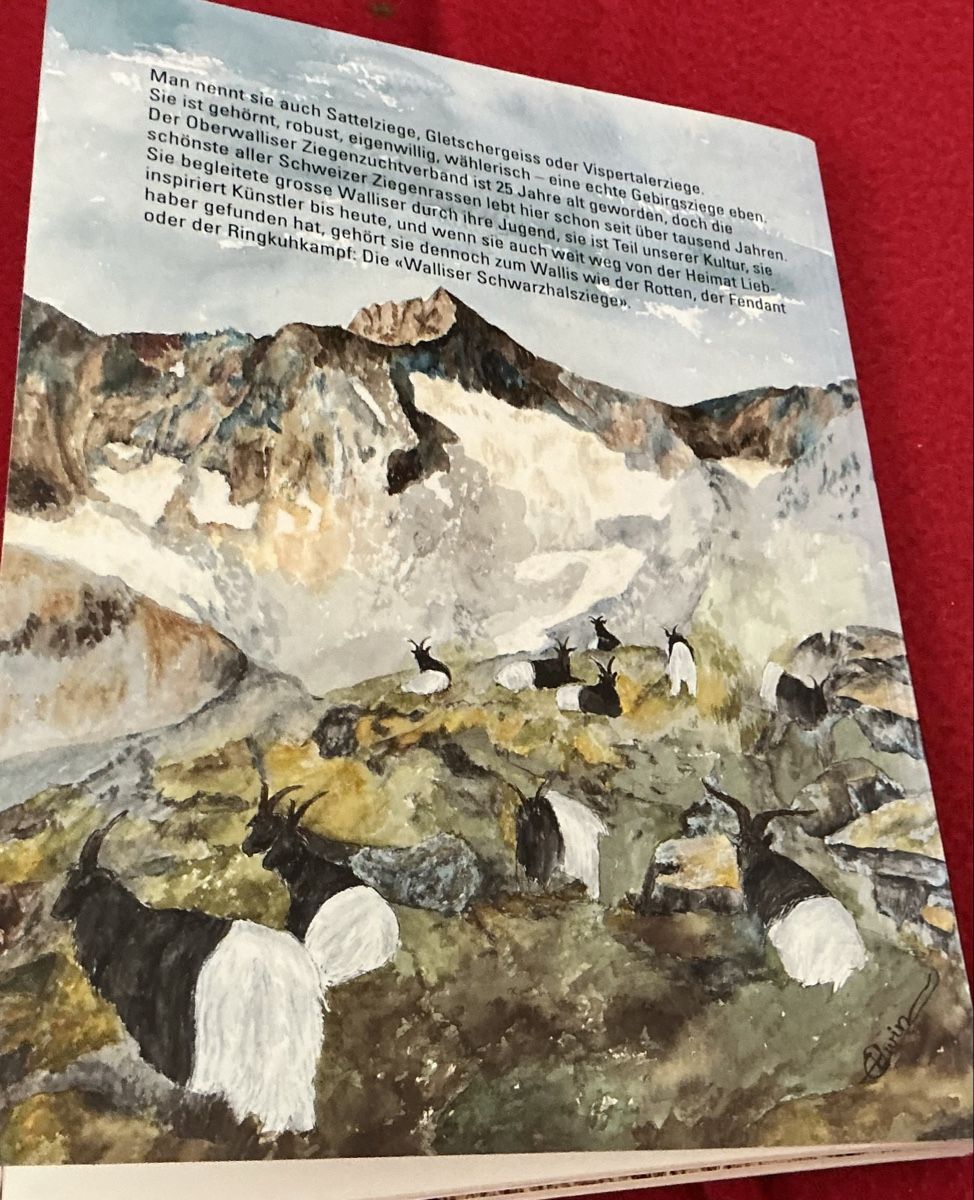 Libri: Walliser Schwarzhalsziegen - Christian Zufferey – Usato da Crans-Montana venduto da plainemorte 7