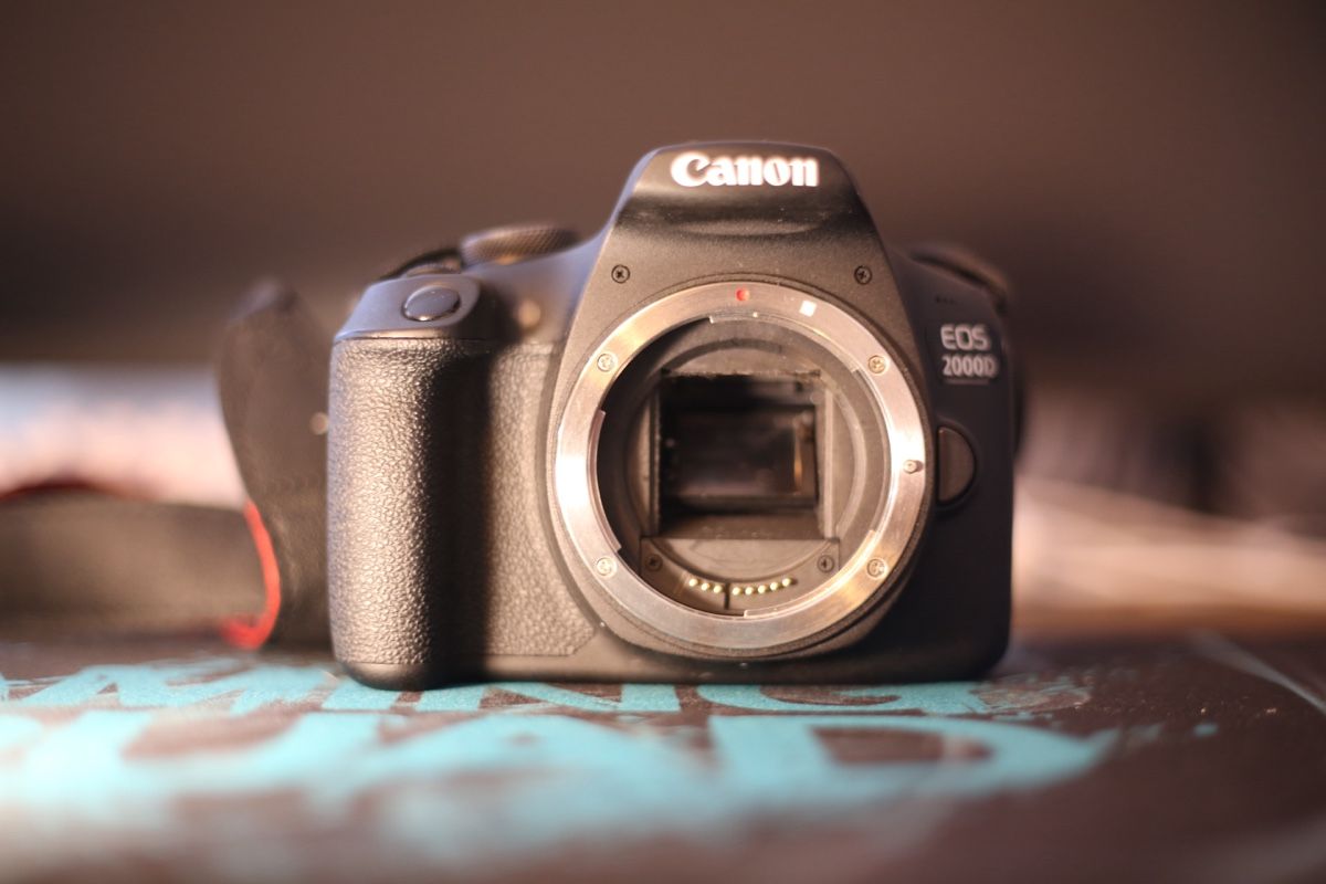 Canon Fotocamera: Canon EOS 2000D + 3 Akkus – Usato da Wädenswil venduto da dai_2bcv 1