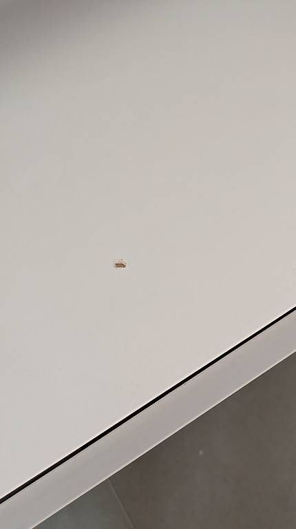 Ikea Mobili TV: Ikea Besta TV Board – Usato da Winterthur venduto da sin_29kl 3
