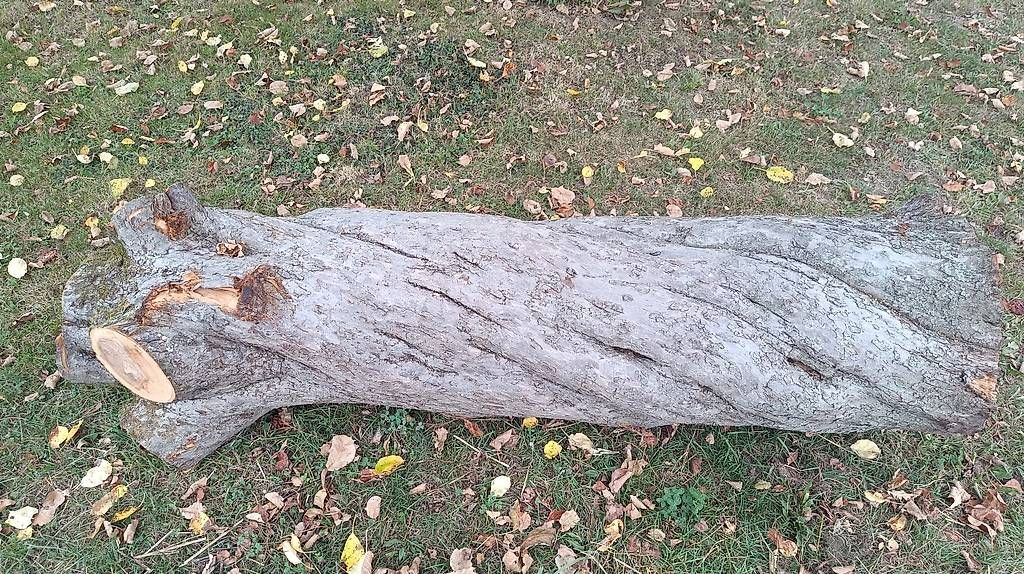 Holzartikel: Apfel Baumstamm 45x190 – Neu (gemäss Beschreibung) aus Effretikon von o.schoenholzer 1