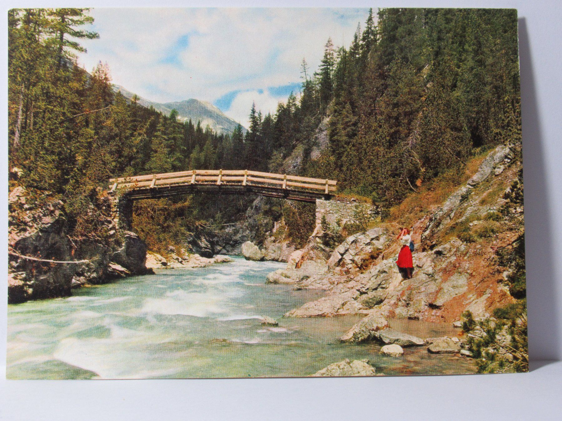 Cartoline postali: Im Nationalpark bei Punt Periv – Nuovo (secondo la descrizione) da Grenchen venduto da Bluemchen1900