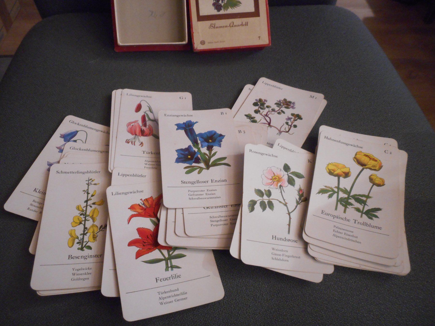 Giochi: Quartett " Heilpflanzen " vintage – Usato da Bretzwil venduto da gbfluck 1