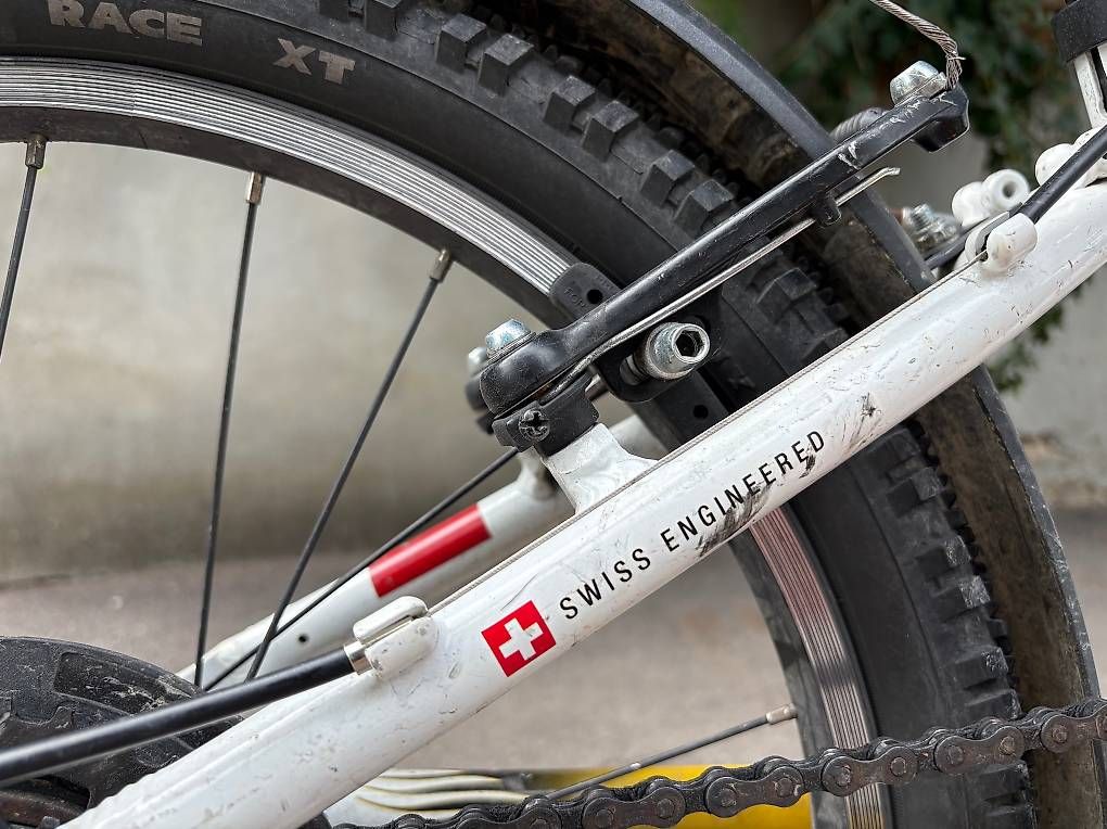 Biciclette: 20 Zoll Kindervelo – Usato da Basel venduto da steffenbasel 1