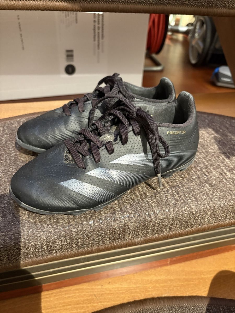 Adidas Scarpe per ragazzi: Adidas Predator Kickschuhe Gr.31 – Usato da Therwil venduto da Migu84 1