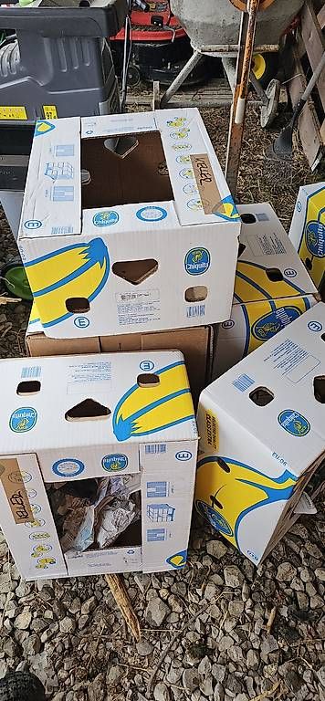 Cartoni: Bananenschachteln – Usato da Trachslau venduto da Michel4491