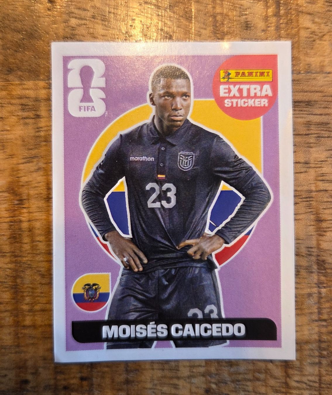 Panini Carte collezionabili: Panini Moisés Caicedo Extra Sticker WM 2026 – Nuovo (secondo la descrizione) da Hochdorf venduto da Maxii