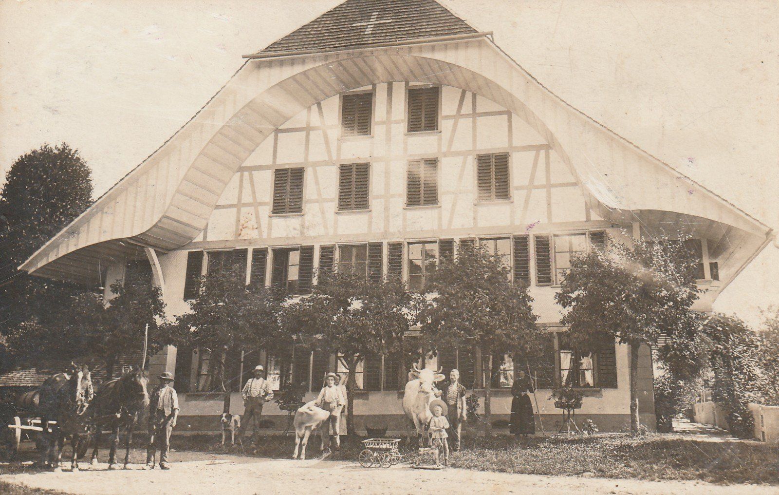 Cartoline postali: Echtfotokarte Berner Bauernhaus belebt – Usato da Rorschacherberg venduto da fratovi2