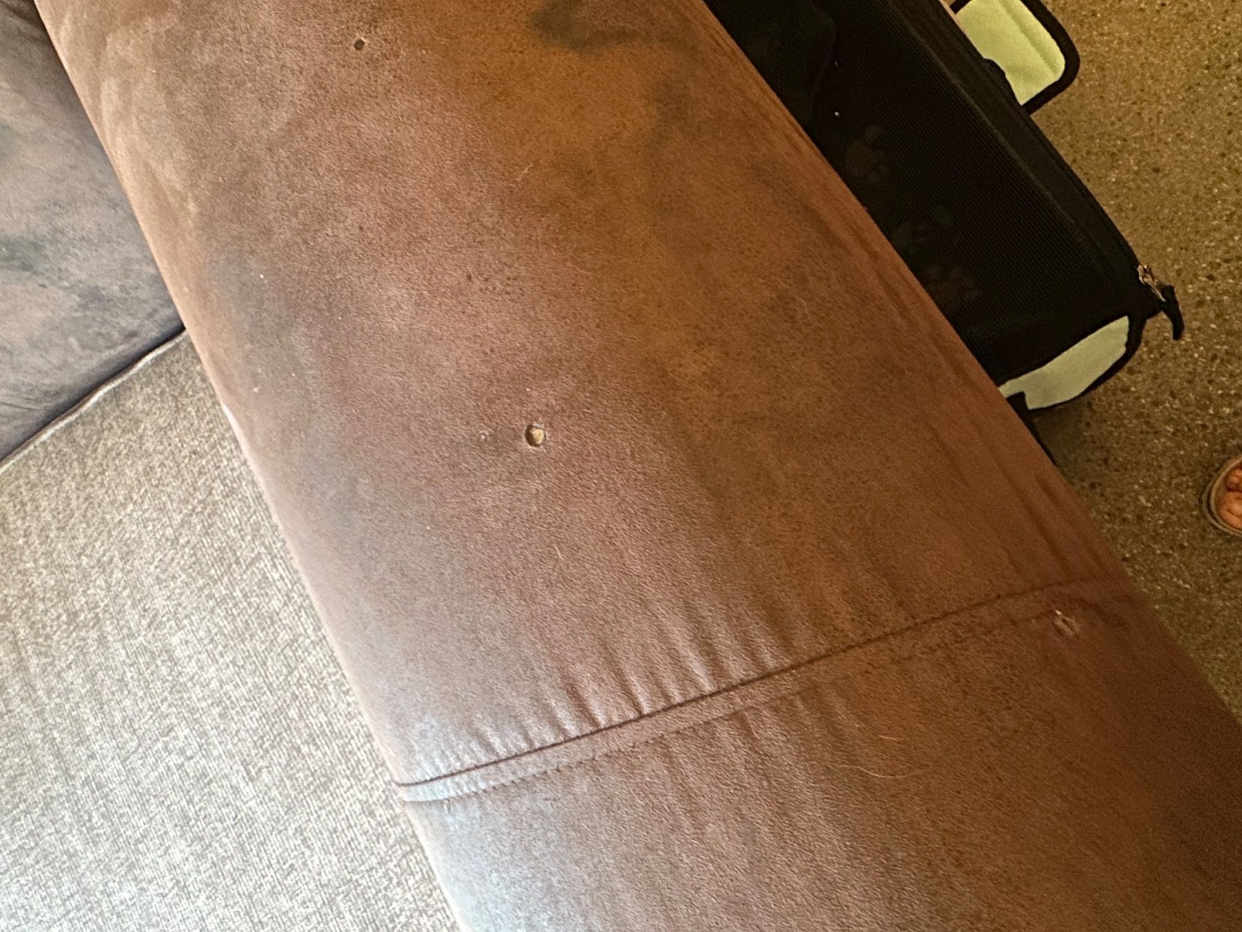 Sofas: Wunderschönes Sofa!!! – Gebraucht aus Zell ZH von Lindalinaa 6