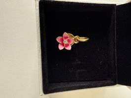Pandora Charm