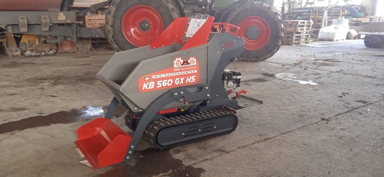 Alle Maschinen: Minidumper – Neu (gemäss Beschreibung) aus Appenzell von Uehler