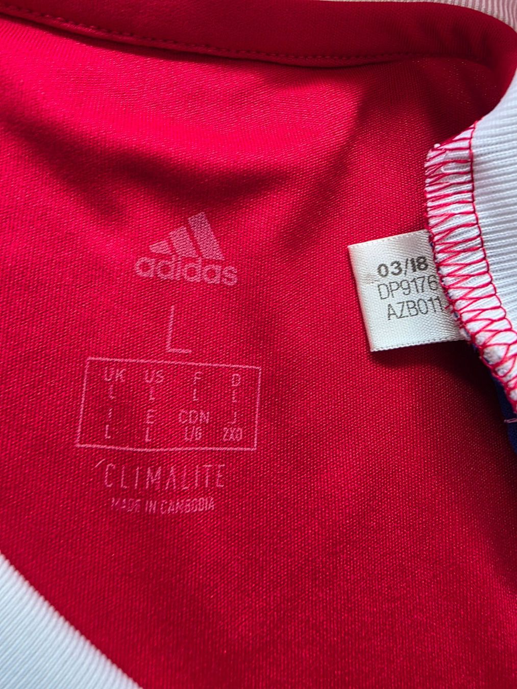 Adidas Canottiere & Pantaloni: FC BASEL 18/19 TRIKOT L – Usato da Lüchingen venduto da Jersey_Time 2