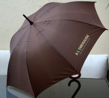 Regenschirm A L'emeraude parapluie