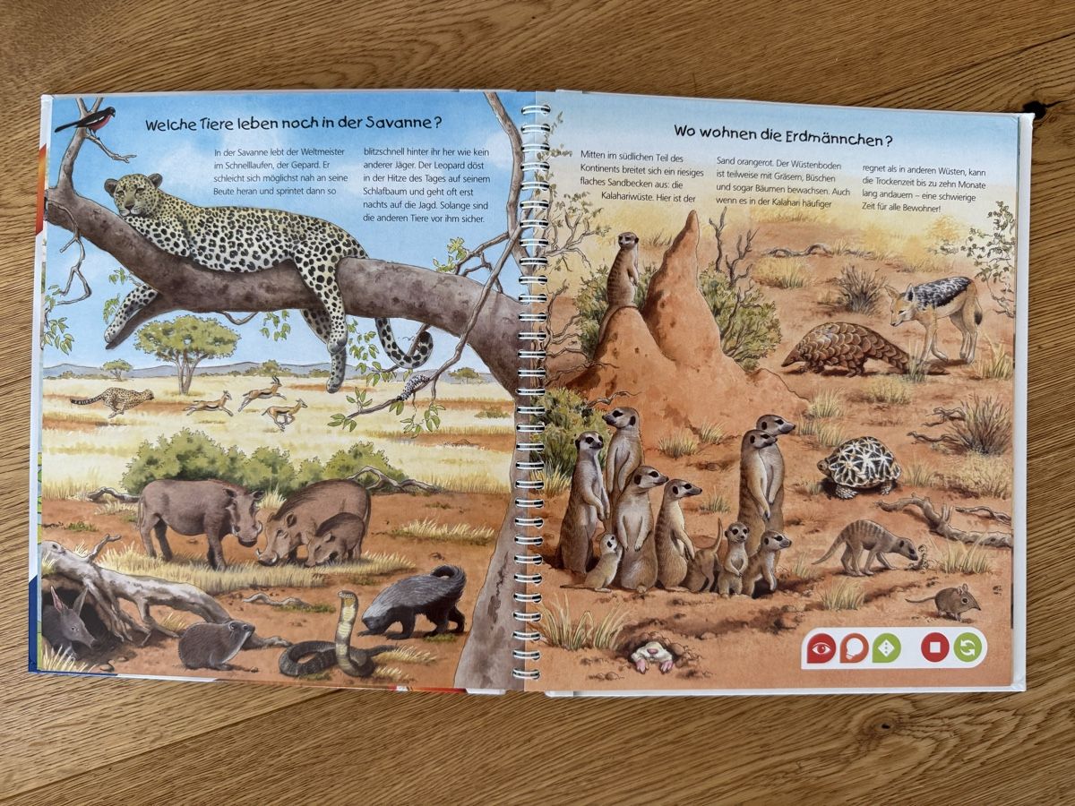 Libri: Tiptoi / Entdecke die Tiere Afrikas – Usato da Steinmaur venduto da kbraun01 2