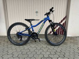 Haibike Kinderfahrrad 24" Bike 