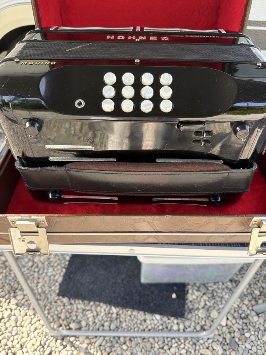 Hohner Strumenti musicali: Hohner morino – Usato da Schlieren venduto da Luxury.Time 6