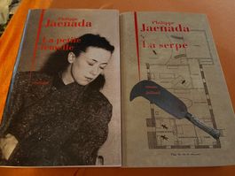 Lot 2 livres grand format Philippe Jaenada roman policier