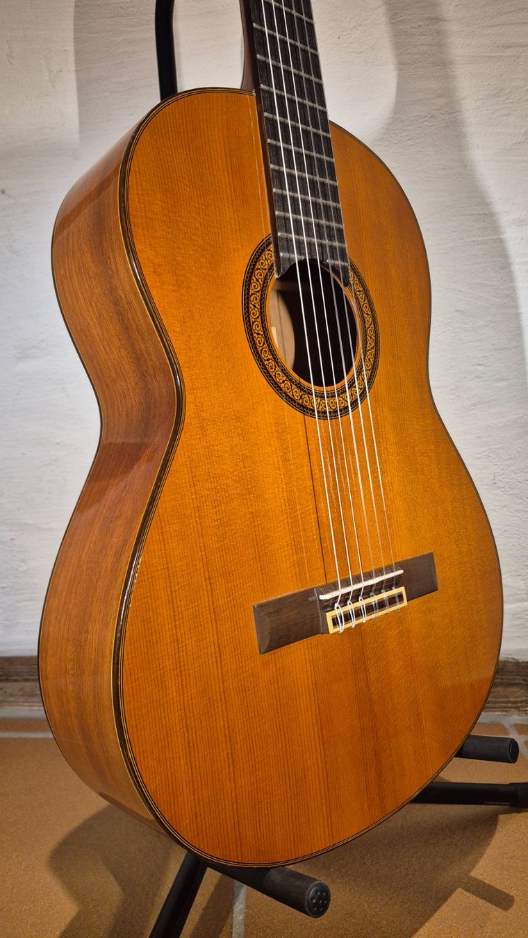 Yamaha Strumenti musicali: Akustik Gitarre Yamaha G-231 II – Usato da Winterthur venduto da NorrSydGuitars 8