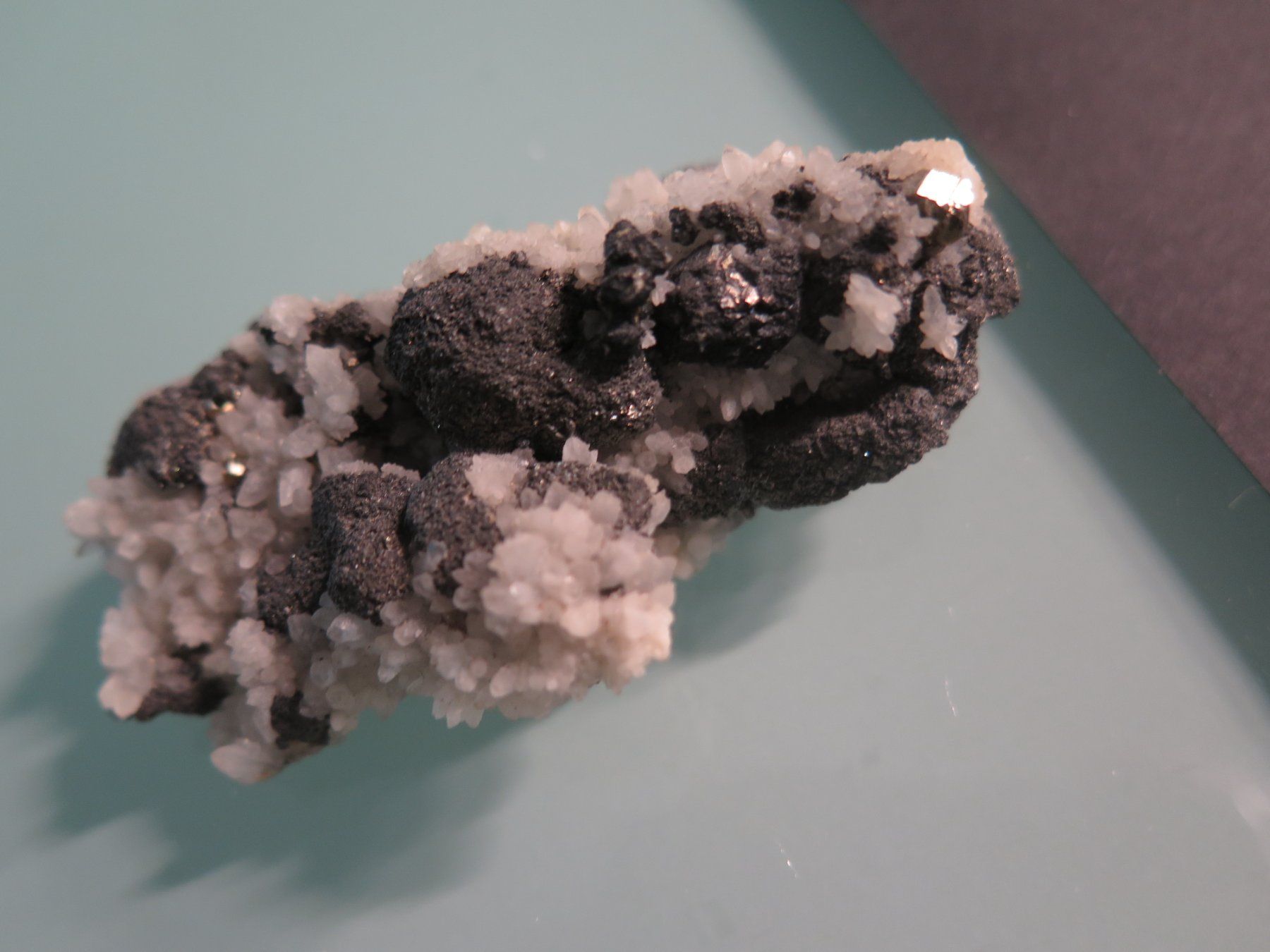 Minerali & Pietre curative: Sphalerit, Pyrit auf Quarz von Rumänien – Usato da Schaffhausen venduto da Yamakana51L8736OQ8 4