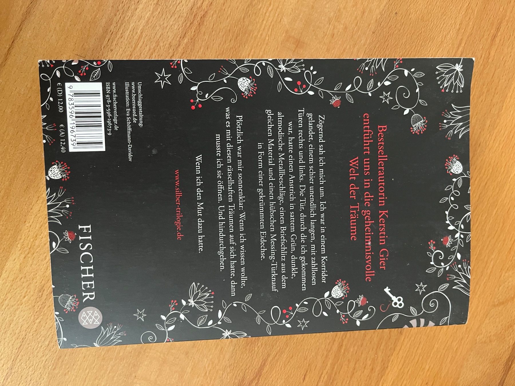 Libri: Silber Das erste Buch der Träume - Kerstin Gier – Usato da Lenzburg venduto da eljare 1