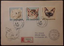 1968: Hongrie série chats sur 3 lettres FDC