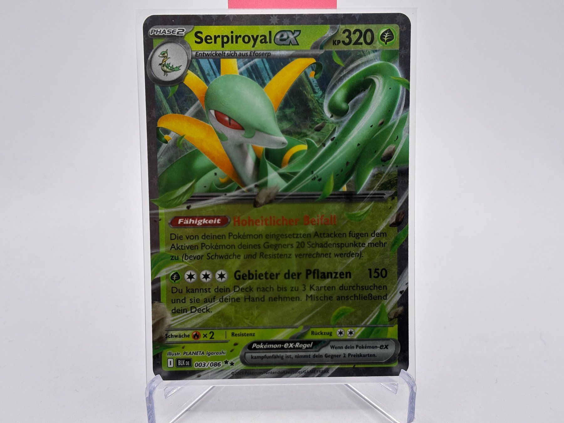 Pokémon Carte collezionabili: Schwarze Blitze - Serpiroyal ex  (BLK 3) - DE – Nuovo (secondo la descrizione) da Allschwil venduto da Bullach